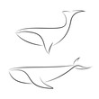 Black line whales on white background. Hand drawing vector graphic.