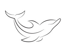 Black Line Dolphin On White Background. Hand Drawing Vector Graphic.