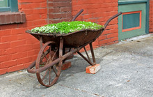 Wheelbarrow Full Of Flowers In Front Of Red Wall
