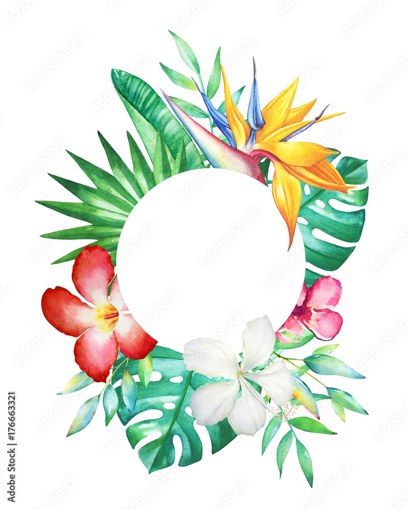 Hibiscus Plant Images | Free Photos, PNG Stickers, Wallpapers \u0026 Backgrounds  - rawpixel, image size:800x1000