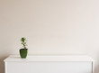 Small plant in green pot on white sideboard against neutral wall background with copy space to right
