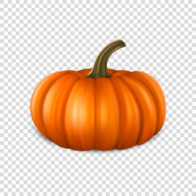 Realistic Pumpkin Closeup Isolated On Transparency Grid Background. Halloween Symbol. Design Template, Stock Vector Illustration, Eps10