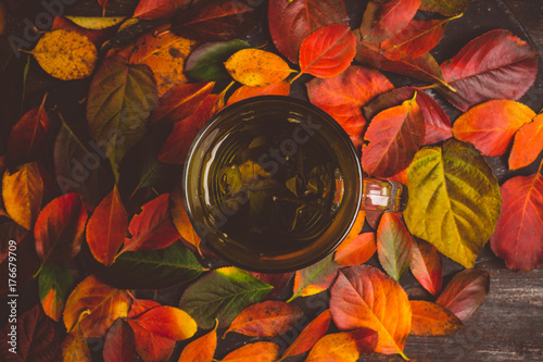 Zdjęcie XXL Filiżanka herbata z jesień liśćmi, dokrętkami, jagodami i pikantność na nieociosanym tle ,. Niewielka głębokość pola.