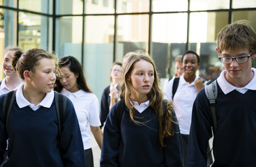 Wall Mural - Group of students walking in school