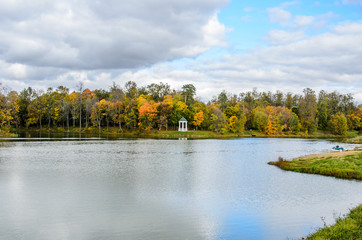 View of an autumn park with colorful leaves