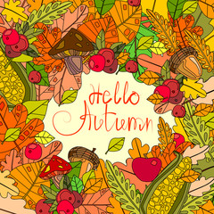 Wall Mural - Hello Autumn Season Banner With Hand Draw Lettering Fall Greeting Card Vector Illustration