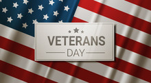 Veterans Day Celebration National American Holiday Banner