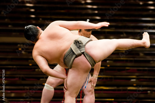 Dekoracja na wymiar  sumo-shikona