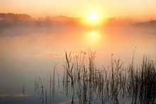 Misty Sunrise Over Lake