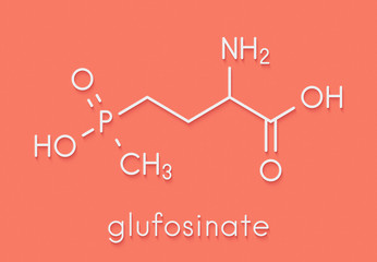 Canvas Print - Glufosinate (phosphinothricin) nonselective herbicide molecule. Transgenic (GMO) crops have been created that are resistant to glufosinate. Skeletal formula.