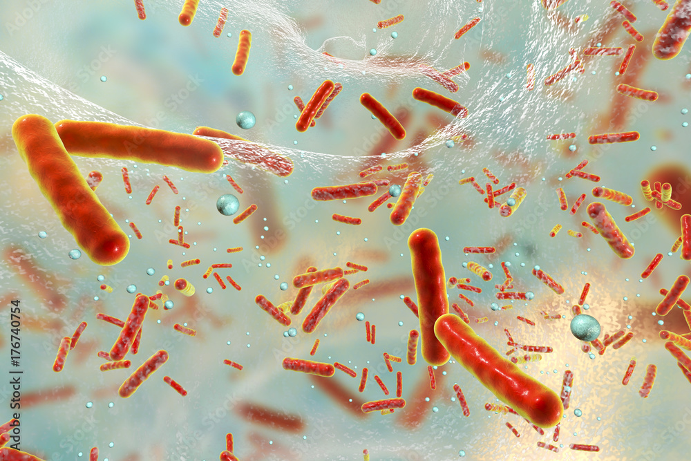 Antibiotic resistant bacteria inside a biofilm, 3D illustration. Biofilm is a community of bacteria where they aquire antibiotic resistance and communicate with each other by quorum sensing molecules - obrazy, fototapety, plakaty 