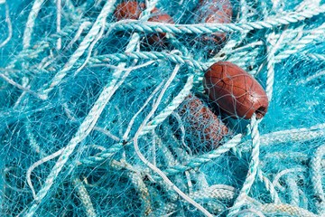 blue fish net