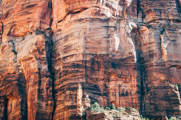 Wall Mural - red rock shapes at zion nationa park, utah