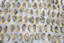 Open Oysters With Lemon And Ice For Background