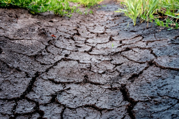 Canvas Print - cracked earth drought