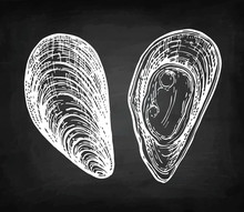 Chalk Sketch Of Mussels