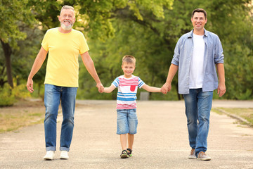 Wall Mural - Little boy with daddy and grandfather walking in park