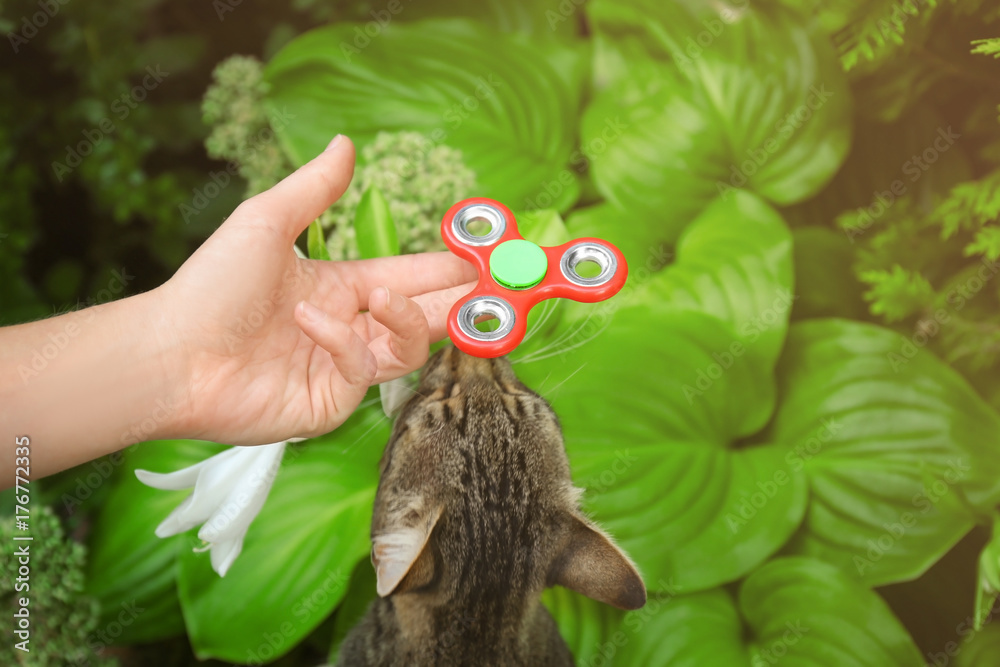 Woman rolling spinner and playing with cat outdoors