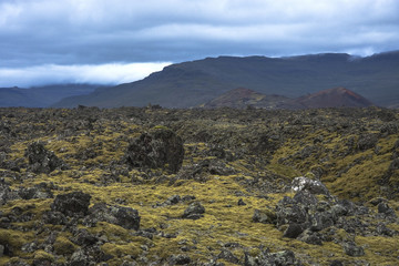 Wall Mural - Icelandic landscapes