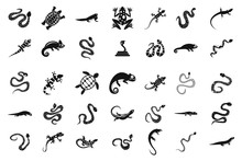 Reptile Icon Set, Simple Style