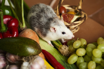 Decorative rat and wicker basket with a vegetables.