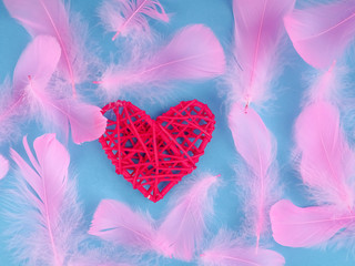 Wall Mural - one red heart on a blue background and the background of pink feathers, lightness and romance for Valentine's day