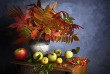 Apples Fruit Autumn Yellow Red Leaves Berries Vitamins Wooden Table Still Life