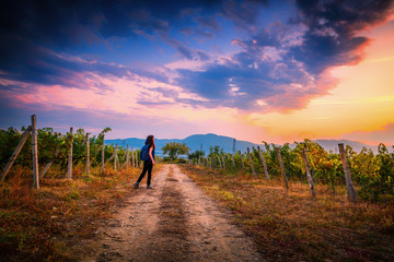 Wall Mural - Young girl with a backpack in Bulgarian vineyards on a Sunset ready to travel 