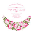 Luxurious vintage card of color rose. Vector illistration.