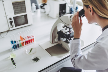Wall Mural - laboratory scientist working