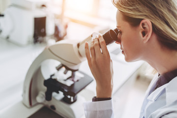 Wall Mural - laboratory scientist working