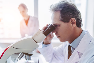 Wall Mural - laboratory scientists working