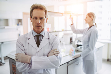 Wall Mural - laboratory scientists working