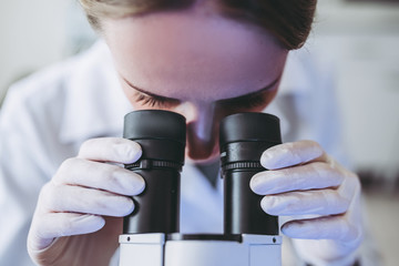 Wall Mural - laboratory scientist working