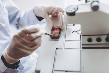 Wall Mural - laboratory scientist working