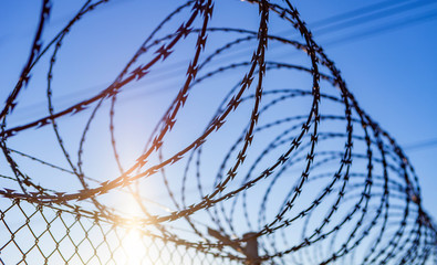 Fence with a barbed wire