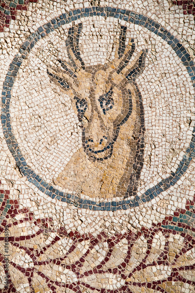 Roman Shell Old roman mosaics in the famous imperial Villa del Casale in Piazza ...
