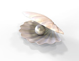 Fototapeta  - Pearl inside seashell. 3d illustration isolated on white