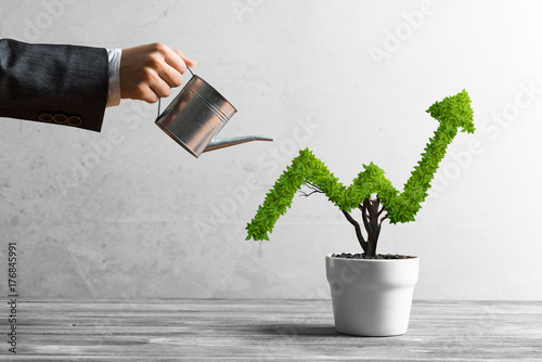 Cuadros en Lienzo Concept of investment income and growth with tree in pot