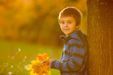 Wall Mural - Autumn portrait of a cute preschool child, boy, sitting on a bench