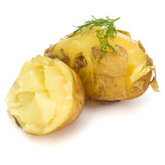 Wall Mural - boiled peeled potatoes isolated on white background cutout