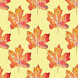 Seamless pattern with watercolor hand drawn autumn maple leaf