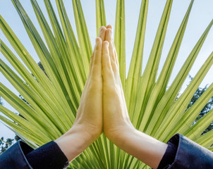 Raised hands pose (anjali mudra), palms pressing together at crown chakra on a fan palm tree background: concept of namaste