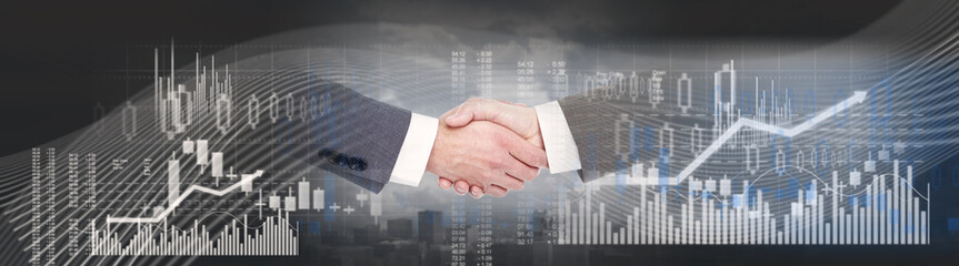 Wall Mural - Business handshake background