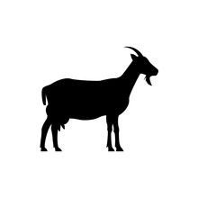 Vector Goat Silhouette View Side For Retro Logos, Emblems, Badges, Labels Template Vintage Design Element. Isolated On White Background