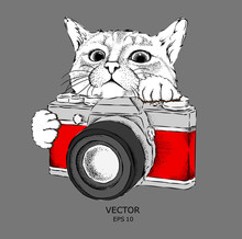 The Cat Looks Out From Behind The Vintage Camera. Hand Drawn Style. Vector Illustration