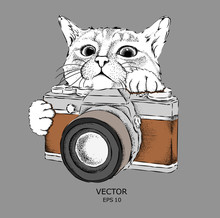 The Cat Looks Out From Behind The Vintage Camera. Hand Drawn Style. Vector Illustration