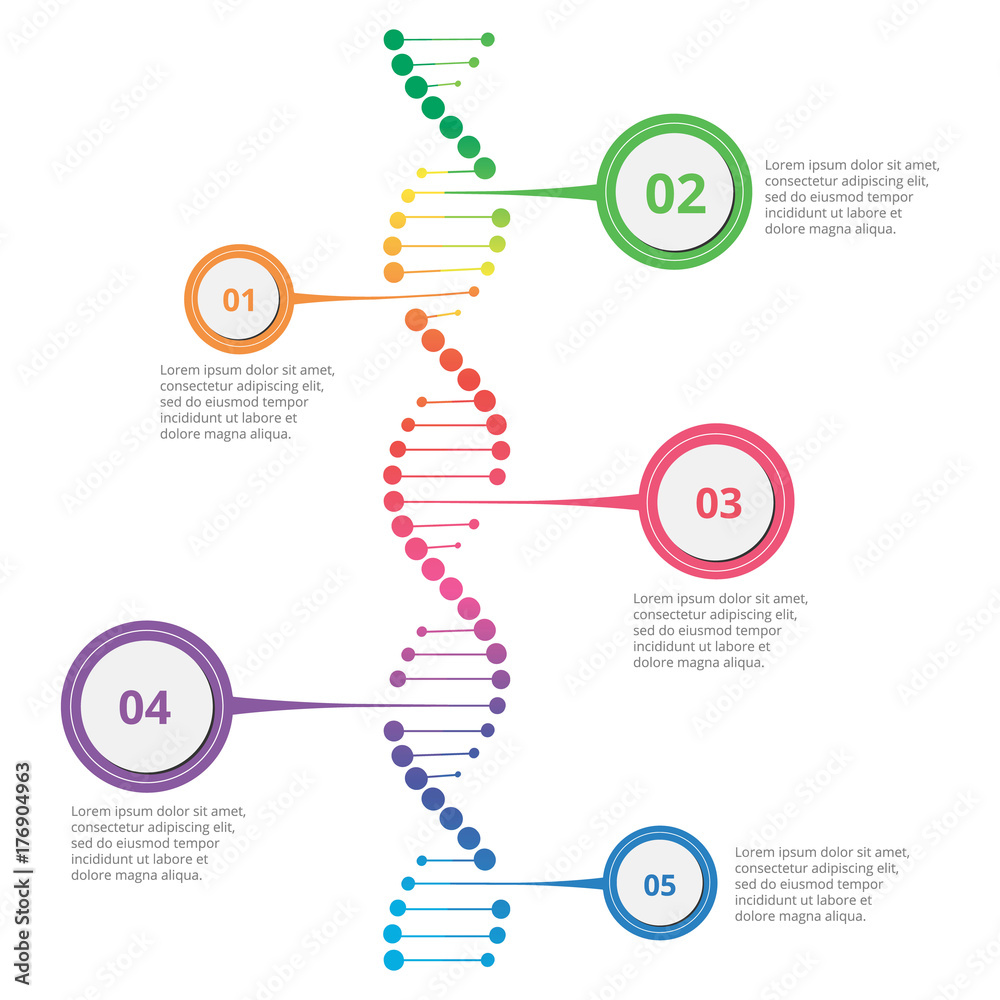Abstract infographic DNA ,can be used for workflow layout, diagram, number options - obrazy, fototapety, plakaty 