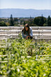© seanlockephotography - Workspace: Businesswoman Takes A Break To Work In Rooftop Garden