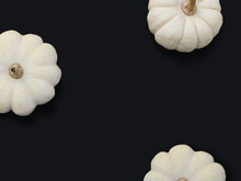 Autumn Frame Made Of White Pumpkins Isolated On Black Background. Fall, Halloween And Thanksgiving Concept. Modern Styled Stock Flat Lay Photography. Top View. Empty Space For Your Text.